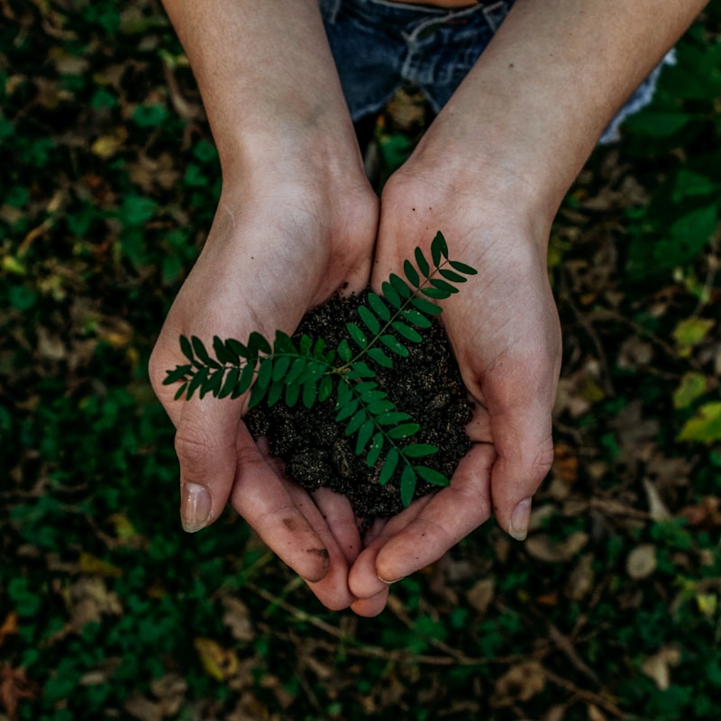 Environmental field assessment context