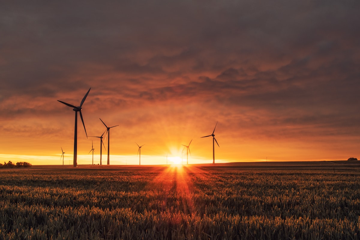Wind turbines at sunset, representing clean energy and emissions reduction